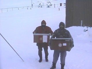 tuerca y rada haciendo la mudanza