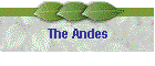 The Andes