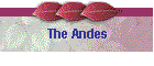 The Andes