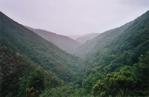 Taramundi (Asturias), 2001