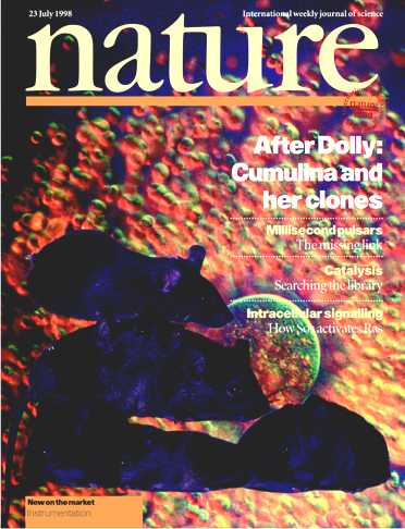 After Dolly: Cumulina and Her Clones Nature Magazine Cover Story Image