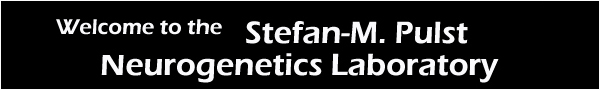 Stefan-M. Pulst Neurogenetics Laboratory