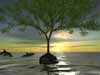 Rendered Tree On Water!