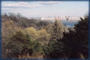 Kyiv Botanic garden