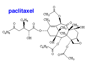 Taxol (paclitaxel) Molecular Structure