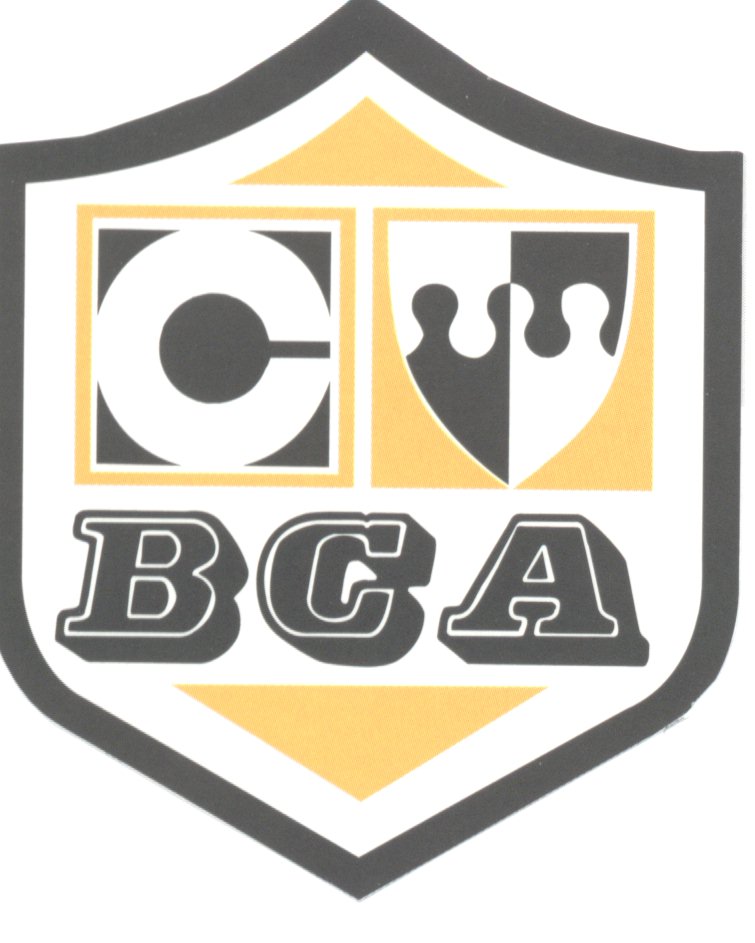 BCA Business Studies