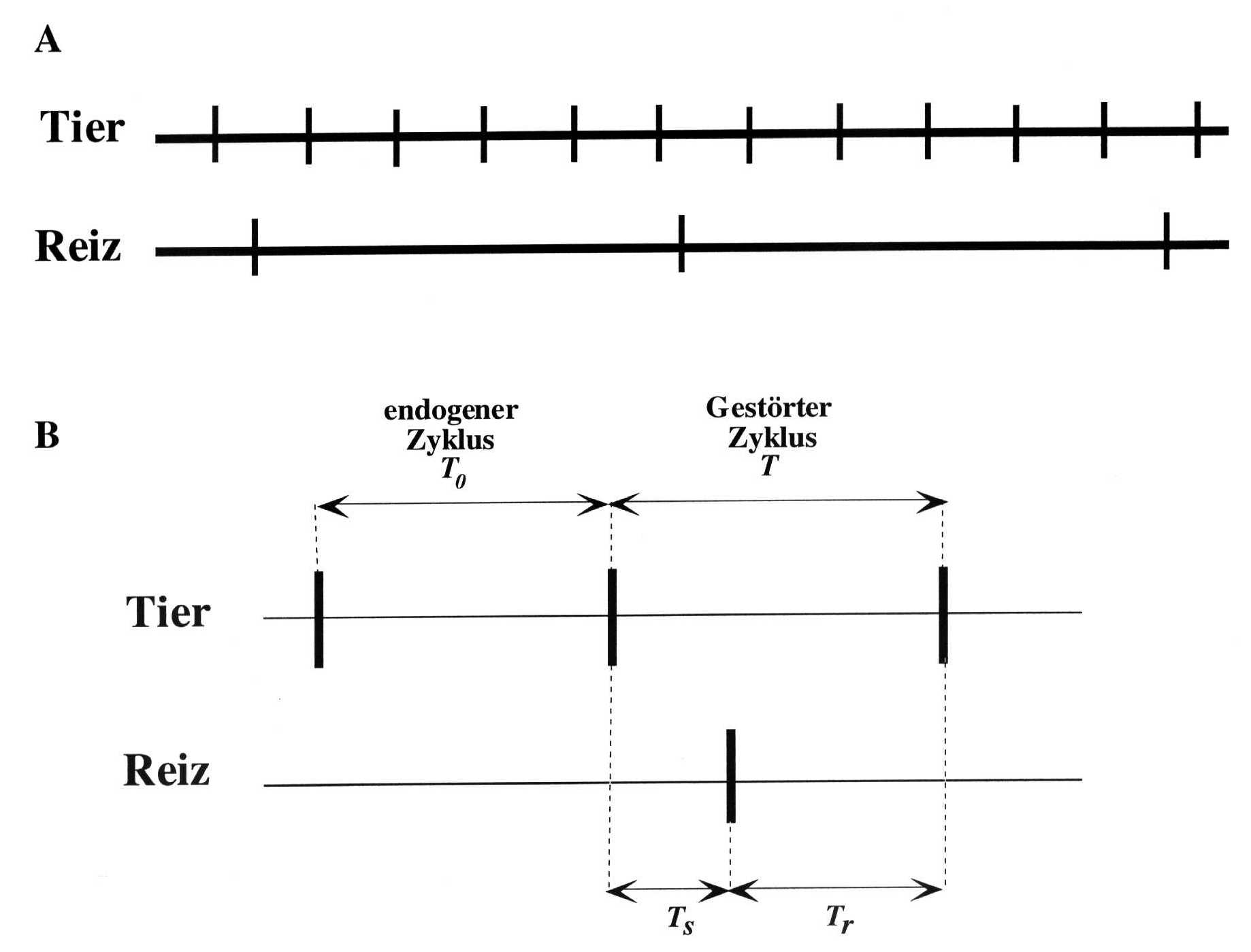 Phase Response Plots