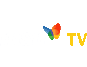 MSNTv