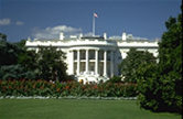 The White House