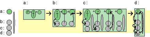 evolution of ps0