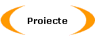 Proiecte