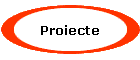 Proiecte