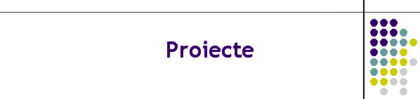 Proiecte