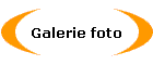 Galerie foto