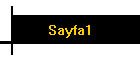 Sayfa1