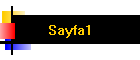 Sayfa1