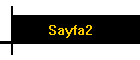 Sayfa2