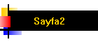 Sayfa2