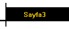 Sayfa3