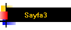 Sayfa3