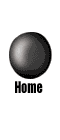 home button