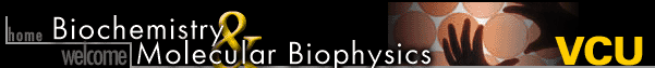 Biochemistry and Molecular Biophysics