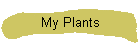 My Plants