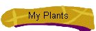 My Plants