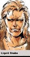 LIQUID SNAKE