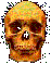 skull.gif (2226 bytes)