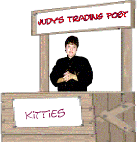 Judy's Trading Post graphic