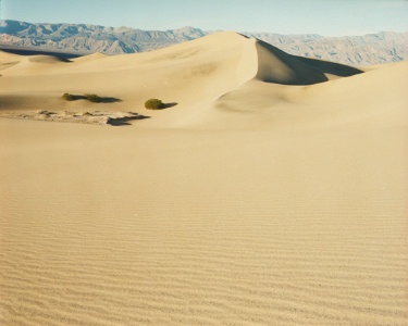 Death Valley Dunes I