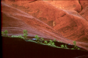 Slot Canyon Salad--click on image to view large version