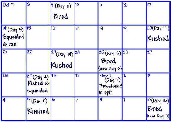 Female B - Breeding Calendar