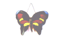 butterfly.GIF (41472 bytes)