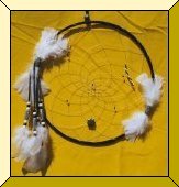 Dream Catcher 39