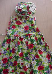 Flap Happy Dress