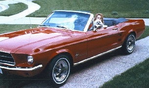 Mom, Muppet, Mustang