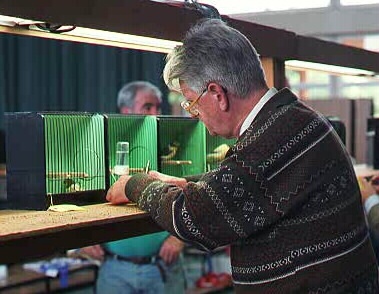 [ Judging Gloster Canaries ]