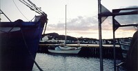 Windthrush docked at the fish plant's wharf in Twillingate as the sun sets.