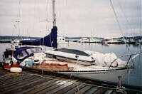 Windthrush at the wharf in Lewisporte