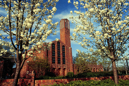 The Bell tower