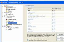 Contoh tampilan Spamihilator dalam bahasa Indonesia.