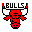 Chicago Bulls Logo