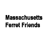 MASS Ferret Friends