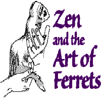 Zen and the Art of Ferrets