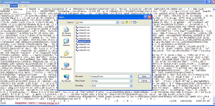 wmpaud6.wav