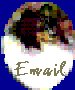 blubtnmail.jpg (3393 bytes)