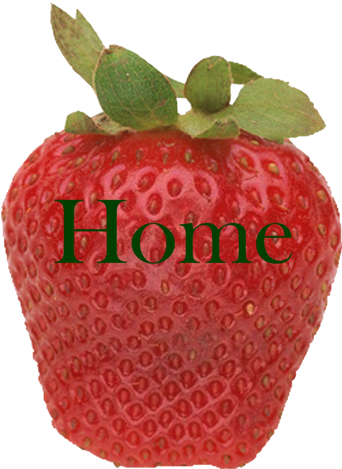 redhome.gif (412272 bytes)