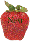 rednext.gif (5581 bytes)